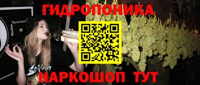 кокс Тверь